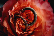 Load image into Gallery viewer, Paisley Hoop Earrings